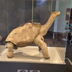 Photo taken by mimi s