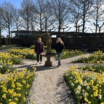 Photo taken by Monique L