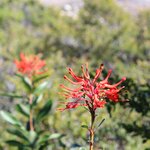 Photo taken by Stephen s