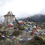 Photo taken by Shawn C