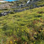 Photo taken by siang ning T