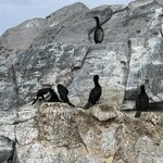 Photo taken by Rebecca B