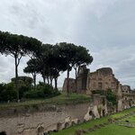 Photo taken by Tracy F