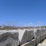 Photo taken by PADMABEN P