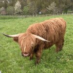 Photo taken by Frank L