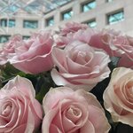 Photo taken by Sofia W