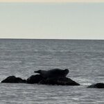 Photo taken by Pamela C