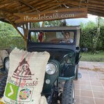 Photo taken by Bincy P