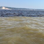 Photo taken by Tony F