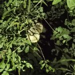 Photo taken by Ceinwen P