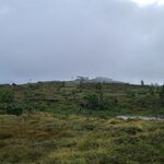 Photo taken by Tamara N