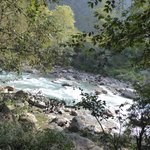 Photo taken by Arpita D