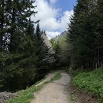 Photo taken by Laura H