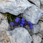 Photo taken by David A