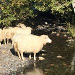 Photo taken by Sharon S