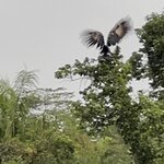 Photo taken by Emily F