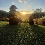 Photo taken by Jacqueline R