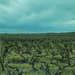 Photo taken by Audrey F