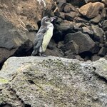 Photo taken by Gary W