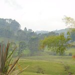 Photo taken by Brett F