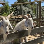 Photo taken by Greg L