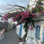 Photo taken by Wendy P