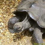 Photo taken by Richard P