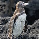 Photo taken by mindy n