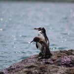 Photo taken by Carla C