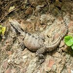 Photo taken by Daniel S