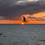 Photo taken by Beth M