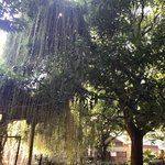 Photo taken by shelly s