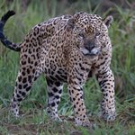 Photo taken by Matt W