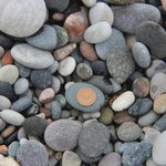 Photo taken by drsadler@shaw.ca S