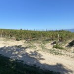 Photo taken by Suzanne S