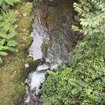 Photo taken by SANTHI S