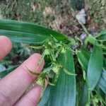 Photo taken by Victoria E