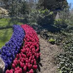 Photo taken by Jennifer D