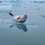 Photo taken by Julie H