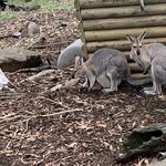 Photo taken by Julie H