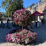 Photo taken by Sharon S