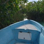 Photo taken by Elena R