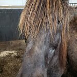 Photo taken by Amy C