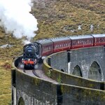 Photo taken by Danielle P