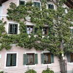 Photo taken by Lisa L