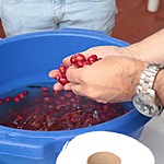 Photo taken by Marcia G