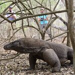 Photo taken by Nancy P