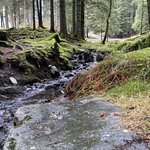 Photo taken by sheena h