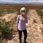 Photo taken by Chris M