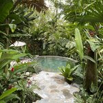 Photo taken by Donna G